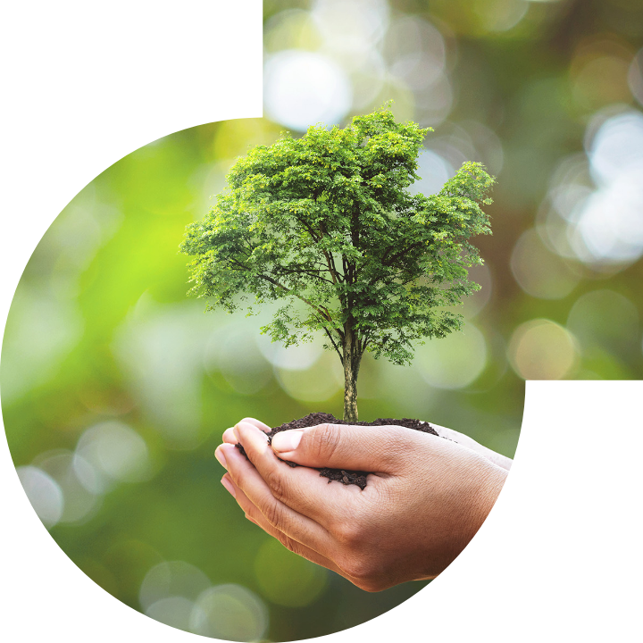 关怀人类、文化、环境与社会